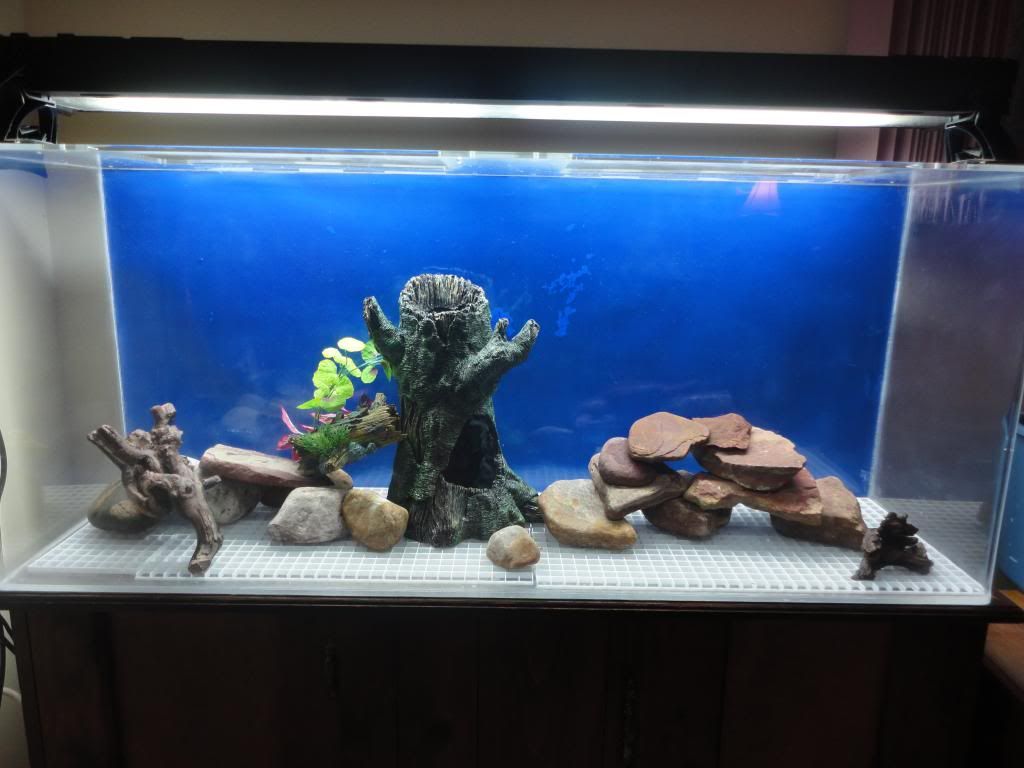 Pool Filter Sand with Rocks Question Cichlid Fish Forum