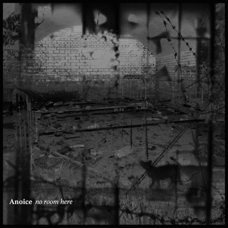 [Single] Anoice – No Room Here (2015.05.16/MP3/RAR)