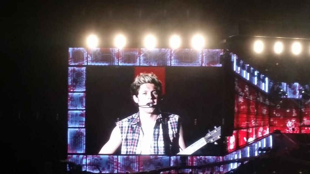 Niall Horan, WWA Tour