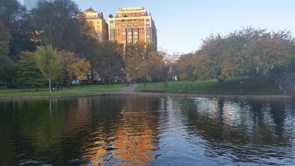 Boston Common on a Fall Morning