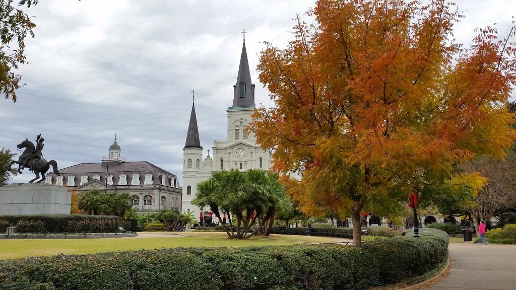 Jackson Square in the fall