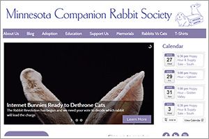 new MCRS site