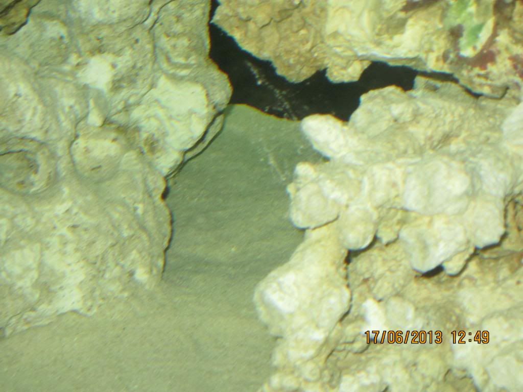 IMG_1709_zps2a86d154.jpg