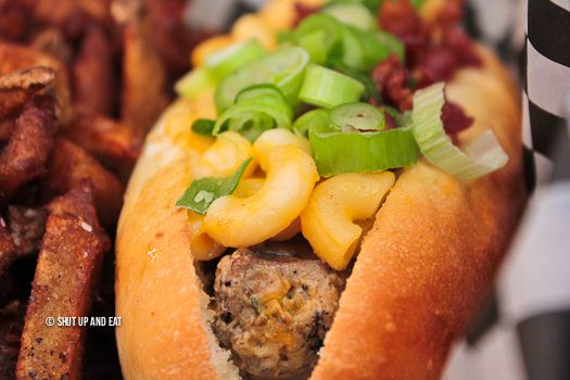 Hot Dogs Doggy Daycare Warfield Hot Dogs Doggy Daycare Warfield