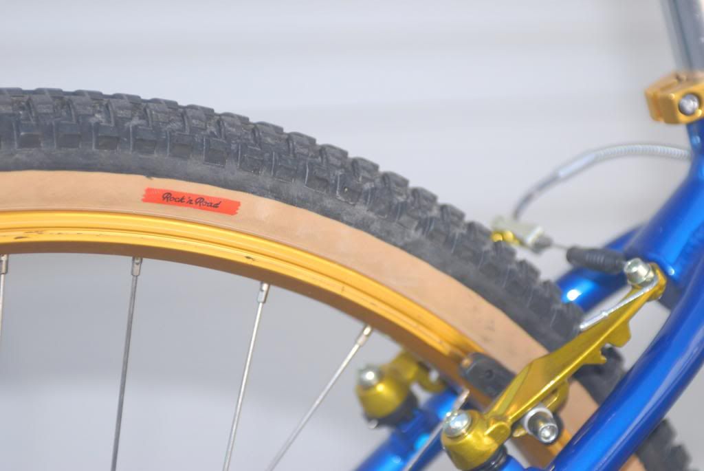 spoke skins for big ripper