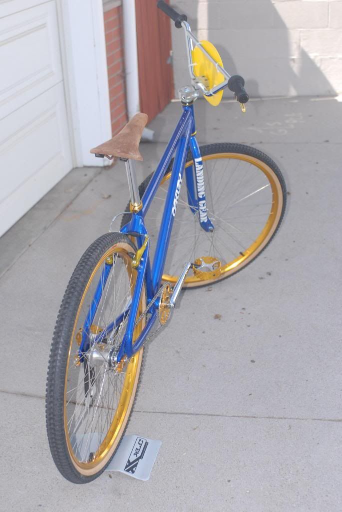 spoke skins for big ripper