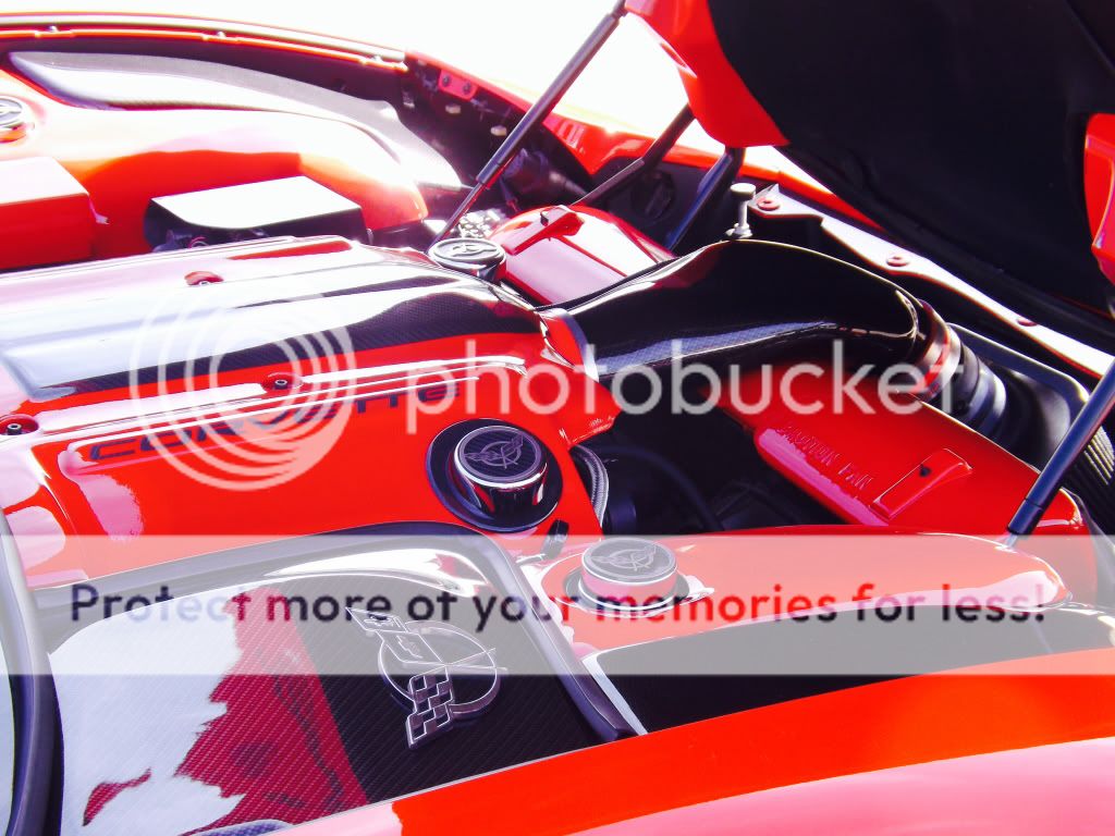 Engine Painted and Dress up kits Page 2 CorvetteForum Chevrolet