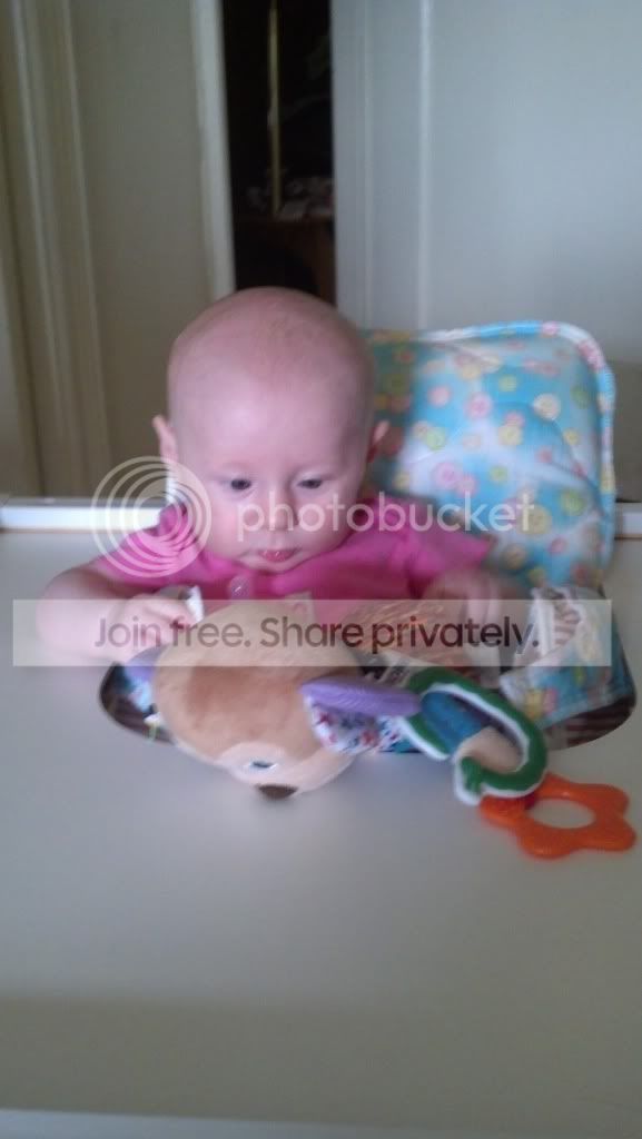 baby tenda high chair